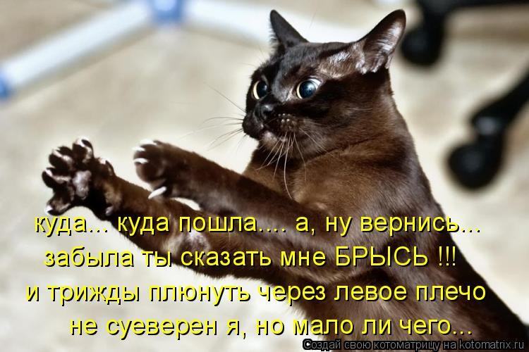 Пойти что ли суеверных погонять Пойти что ли суеверных погонять