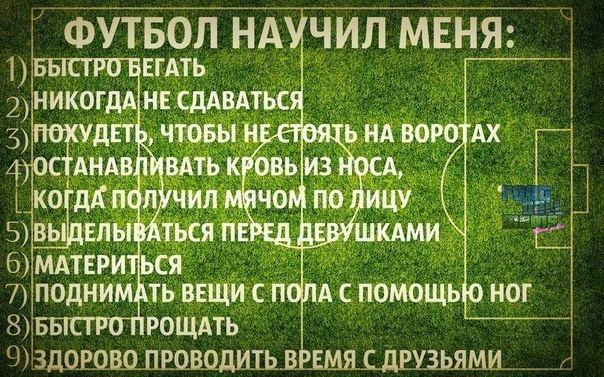 Стих шнурова про футбол текст Стих шнурова про футбол текст