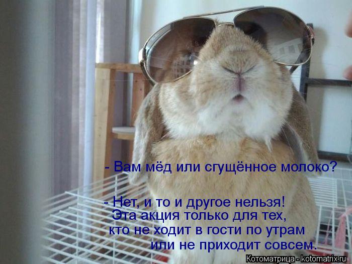 Вяжем Пинетки "Коса" спицами - Вяжем вместе он-лайн Выкройки мягких игрушек
