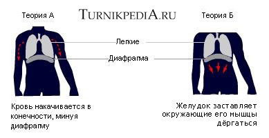 Почему начинает болеть бок при беге Почему начинает болеть бок при беге