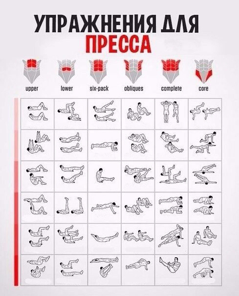 Упражнение для пресса живота в домашних условиях