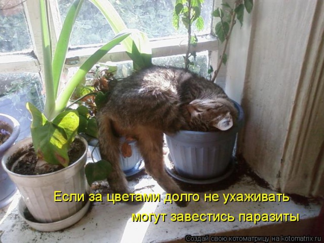 У нас просто так не сажают 85