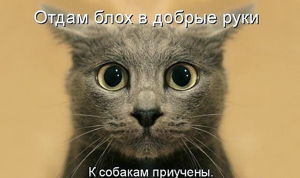 Стих посмотри на меня посмотри Стих посмотри на меня посмотри
