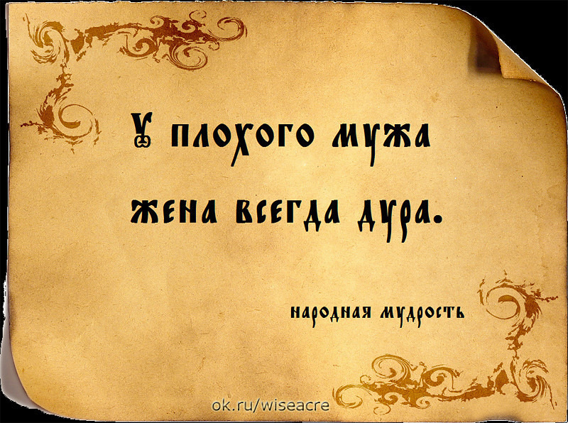 Поговорка у хорошего мужа Поговорка у хорошего мужа