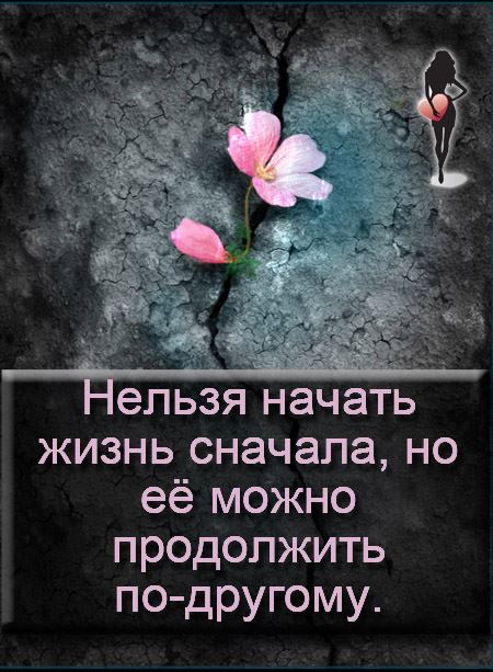 Всё с нуля стих Всё с нуля стих