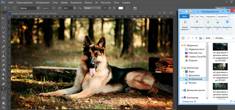 Почему не перетаскивается картинка в фотошоп cs6 Почему не перетаскивается картинка в фотошоп cs6