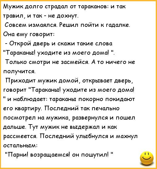 Тараканы анекдот он пошутил Тараканы анекдот он пошутил