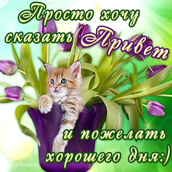 Хорошего вам дня открытки Хорошего вам дня открытки