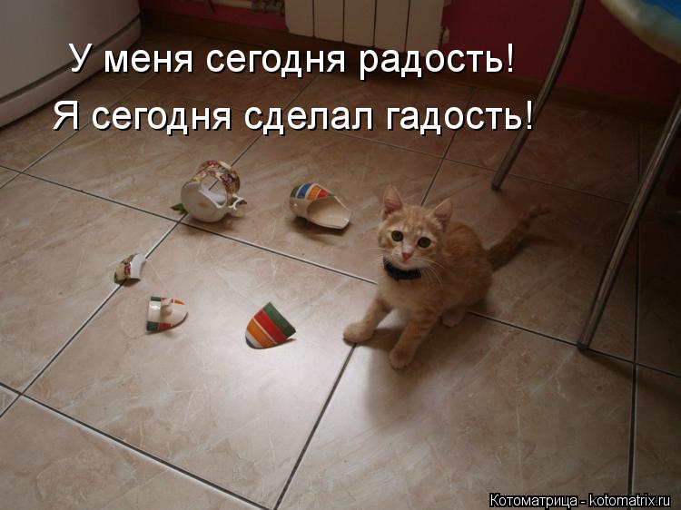 Как сделать кому-то гадость Как сделать кому-то гадость