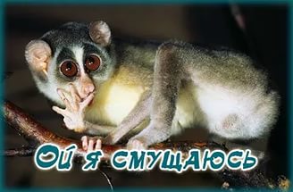 Лабораторная диагностика ИНВИТРО ЛЕНПЕХ - ЛУЧШЕ ВСЕХ!