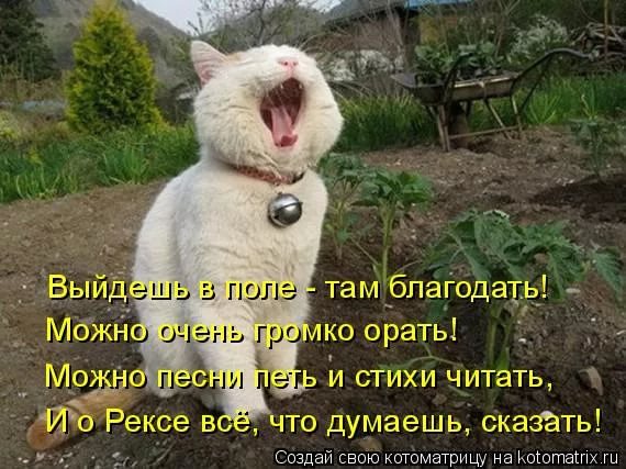 Стих и не ори на меня Стих и не ори на меня