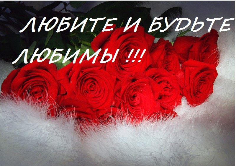 Открытка люби и будь любим Открытка люби и будь любим