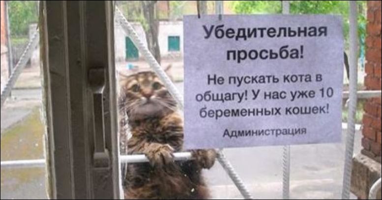 Если не пускают в домашних условиях Если не пускают в домашних условиях