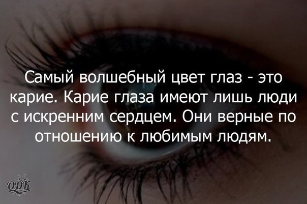 Алабай. Описание, особенности, цена и уход за алабаем MasterCard Gold - БПС-Сбербанк