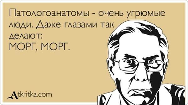 Я патологоанатом стих Я патологоанатом стих