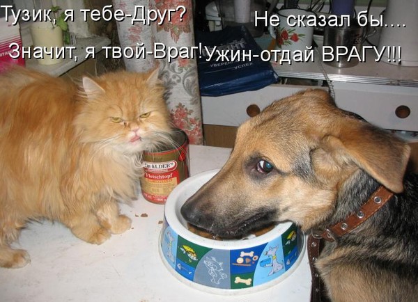 Жюль Верн. Дети капитана Гранта Генрих Николаевич Волков Тебя, как Первую любовь. КНИГА О