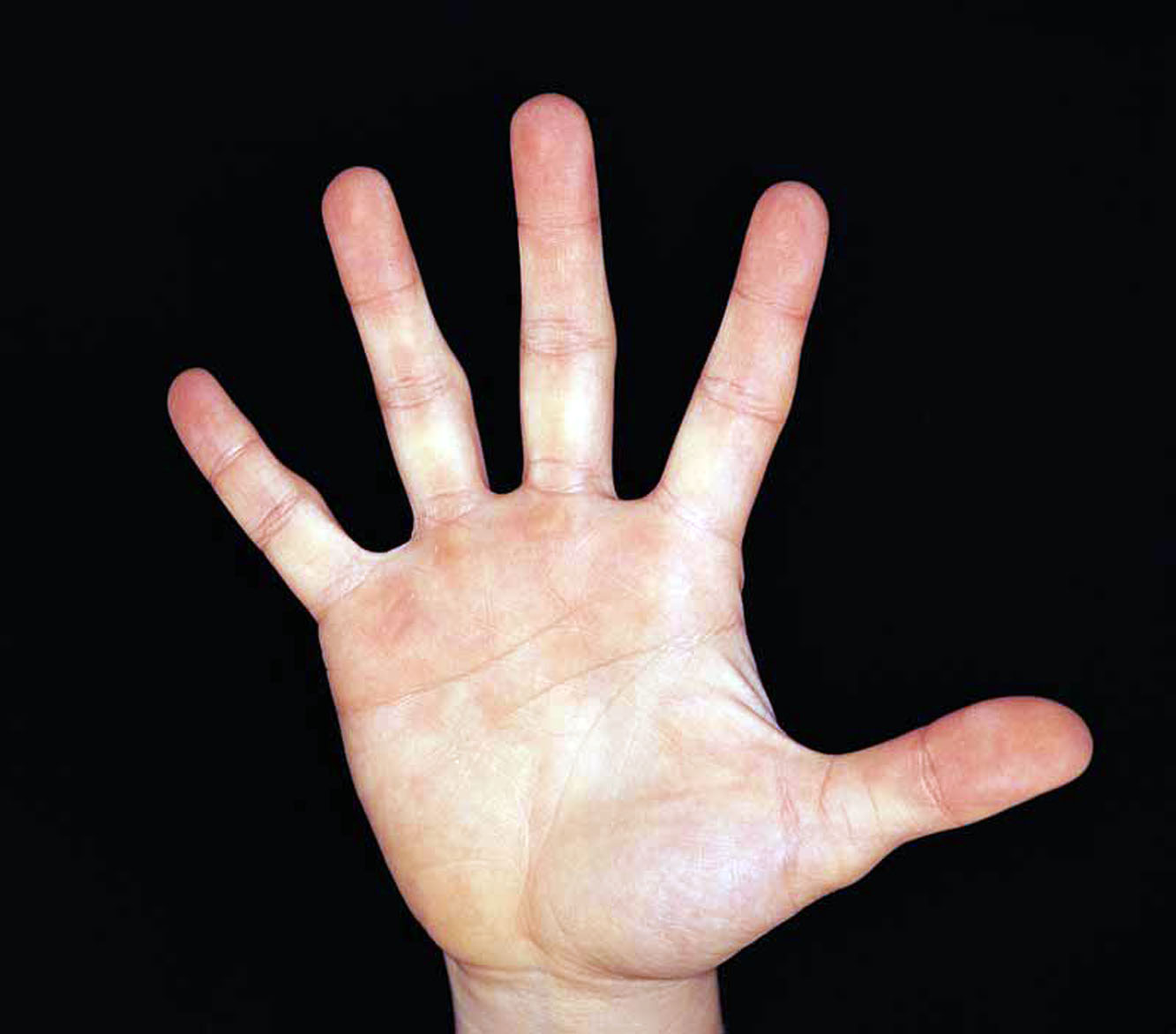 1c4d0413fd5a4d2db8564d7f93c1f16d_s-73.jpg