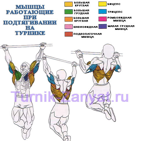 Спортвики схема подтягивания Спортвики схема подтягивания