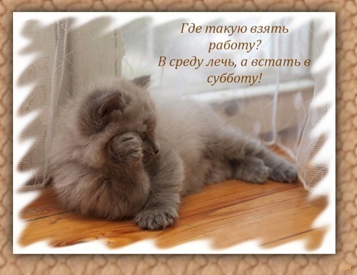 Среда пришла открытки с 339