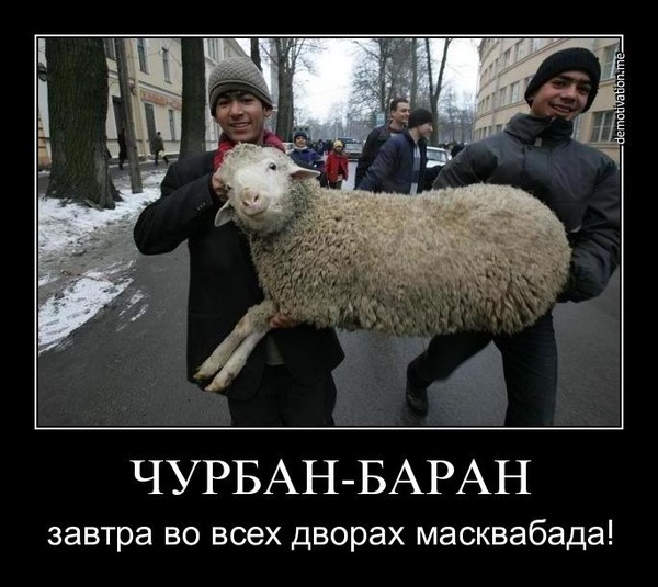 Каран баран поздравления 69