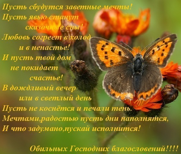 Поздравления мальчику 2 года смешные Поздравления мальчику 2 года смешные