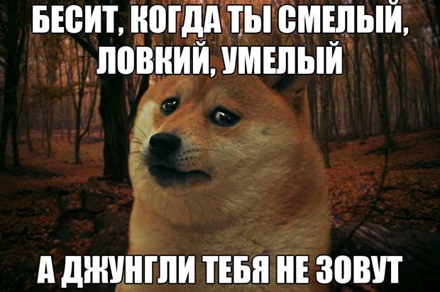 Когда что звали вы своими руками 141
