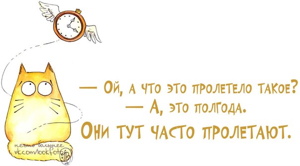 Полгода отношении поздравление Полгода отношении поздравление