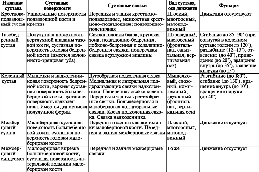 Суставы костей характеристика Суставы костей характеристика