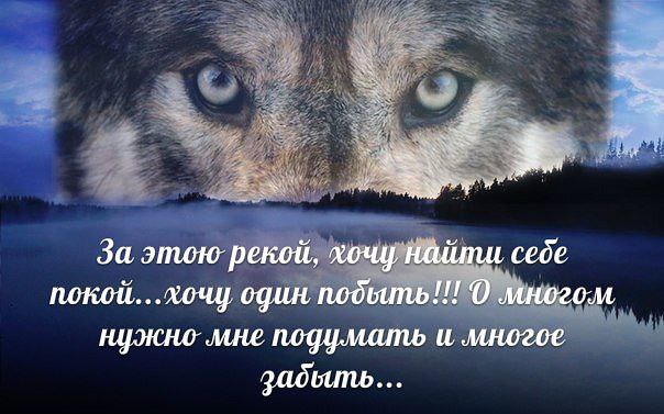 Статусы покоя мне с тобой не будет Статусы покоя мне с тобой не будет