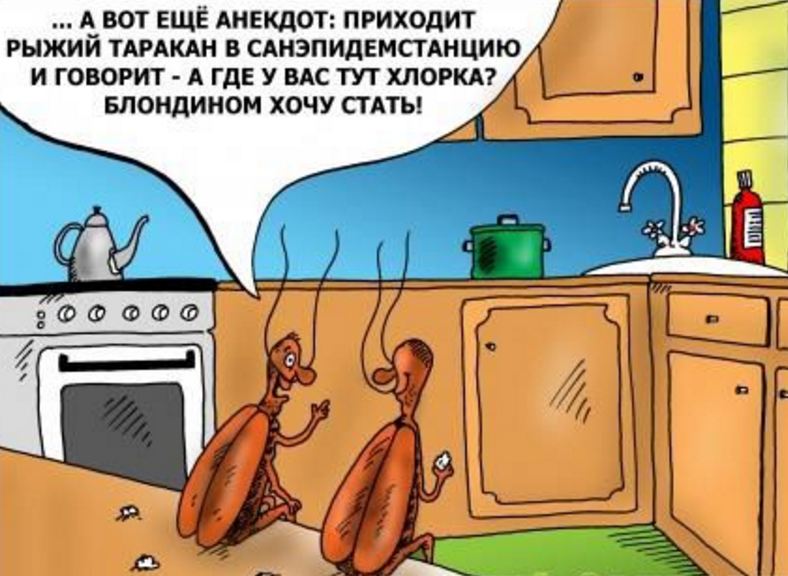 Тараканы анекдот он пошутил Тараканы анекдот он пошутил
