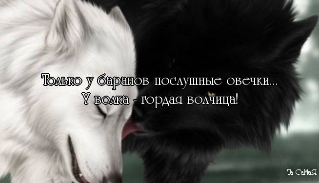 Салонах красоты аравана Салонах красоты аравана