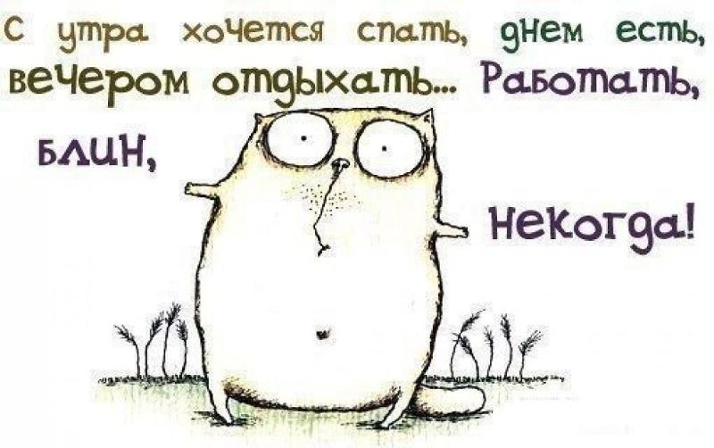 Днём хочется спать Днём хочется спать