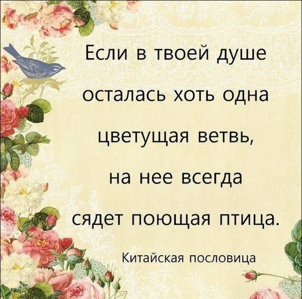 Китайская пословица цветы Китайская пословица цветы
