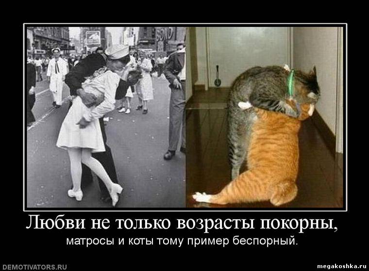 http://otvet.imgsmail.ru/download/20616354_515c2f52e03ab1822f778c83c9b2a6e4_800.jpg