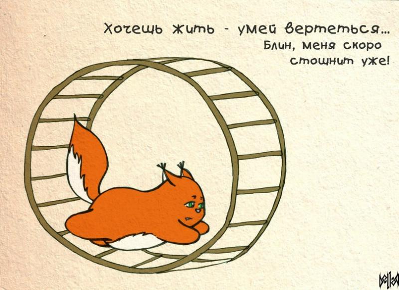 крошка ши обои на рабочий стол август 2016 на телефон №248760 крошка ши обои на рабочий стол август 2016 № 248759 скачать