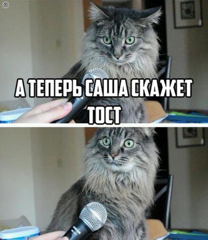 Во сне говорить тост Во сне говорить тост