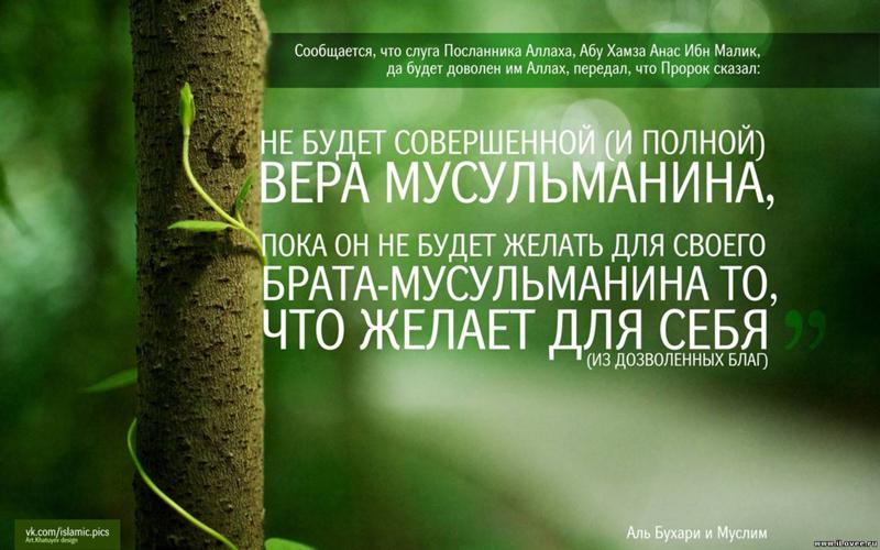 Отношение и братьям хадисы Отношение и братьям хадисы