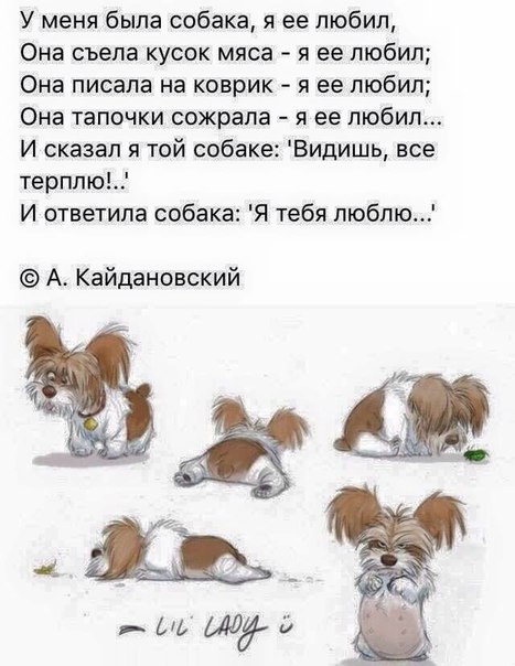 Плейкаст «АЛИНА, С ДНЕМ РОЖДЕНИЯ ТЕБЯ!» Переделанные песни -поздравления с Днем рождения FunnyDay