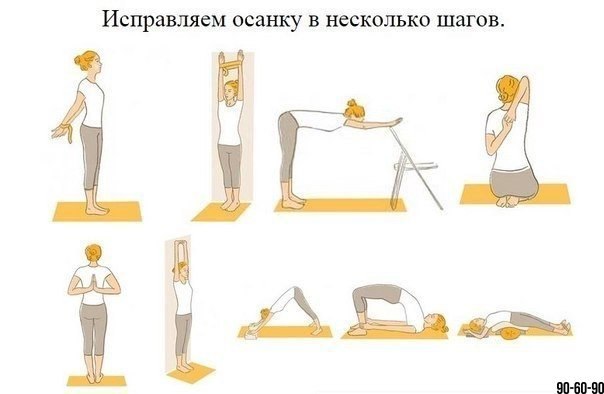 Упражнения для выпрямления осанки в домашних условиях для Упражнения для выпрямления осанки в домашних условиях