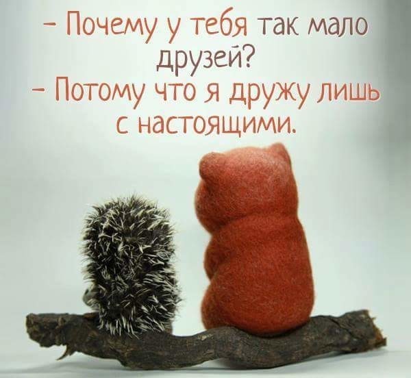 Открытки с поддержкой друзей Открытки с поддержкой друзей