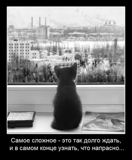 Как долго ждать статусы Как долго ждать статусы