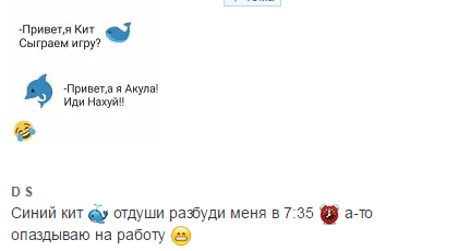 Собаке прокусили кожу что делать Собаке прокусили кожу что делать