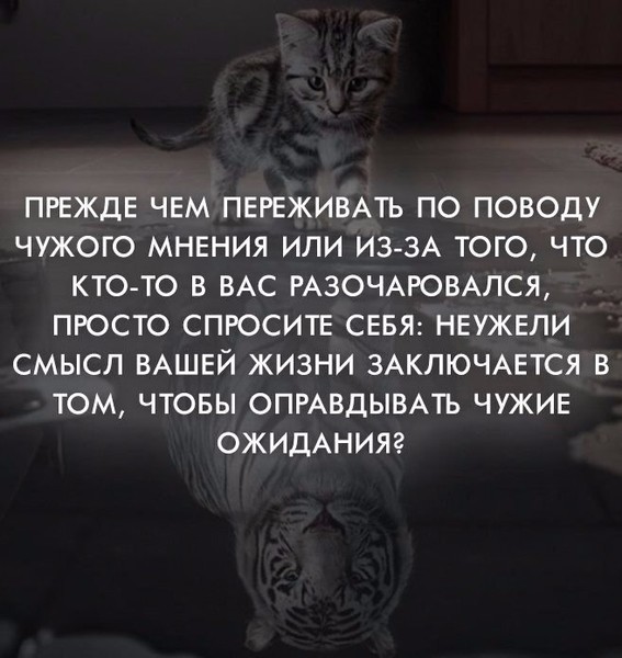 Статусы по поводу мнения Статусы по поводу мнения