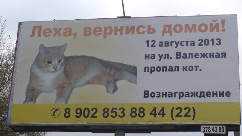 Анекдот о пропаже Анекдот о пропаже