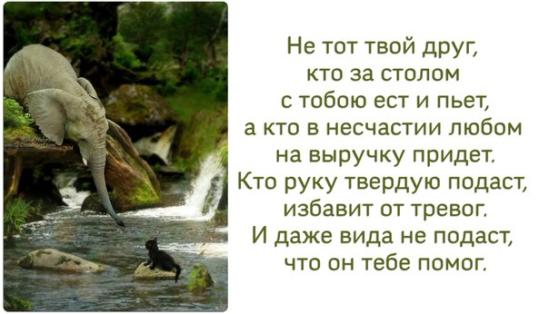 Цитаты в картинках для друга Цитаты в картинках для друга