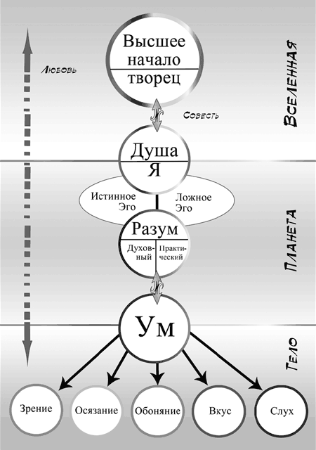 Души схема Души схема