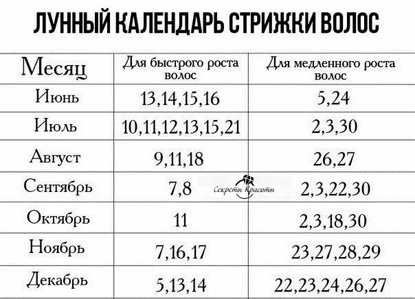 Может ли работодатель установить выходные дни