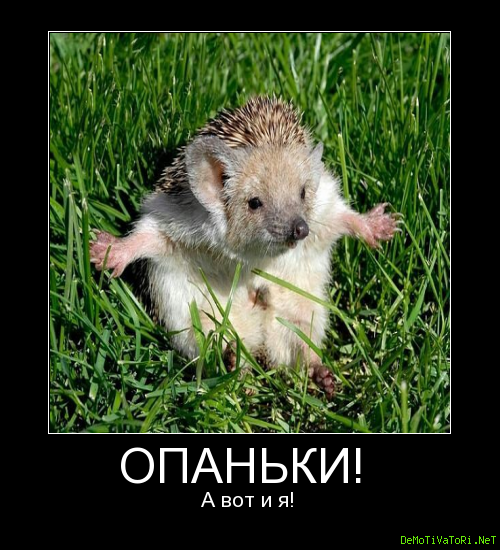Открытка вот я и домами Открытка вот я и домами