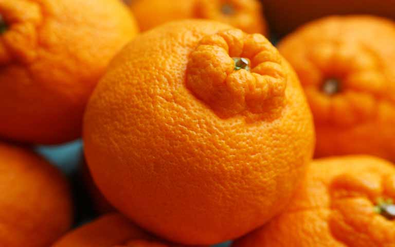 Апельсин Orange на телефон №2933090 Апельсин Orange № 2933089 без смс