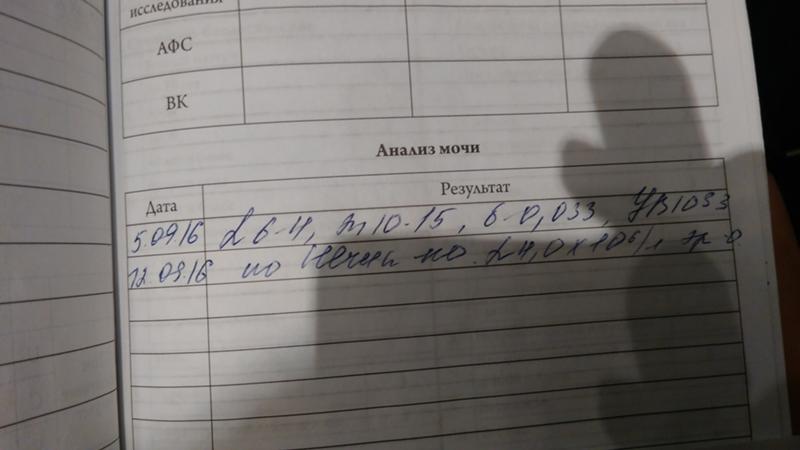 Анализ мочи на 24 недели беременности